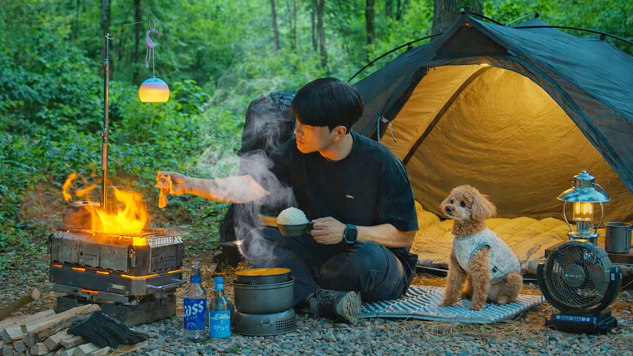 Camping in Forest with My Dog . Korean Pork Bulgogi . Wood Stove ASMR