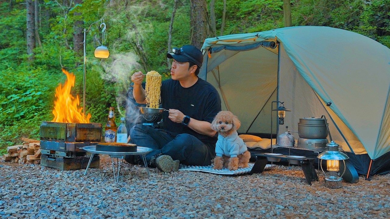 Camping in Forest with My Dog . Korean Style Pork Cutlet & Udon . Wood Stove ASMR