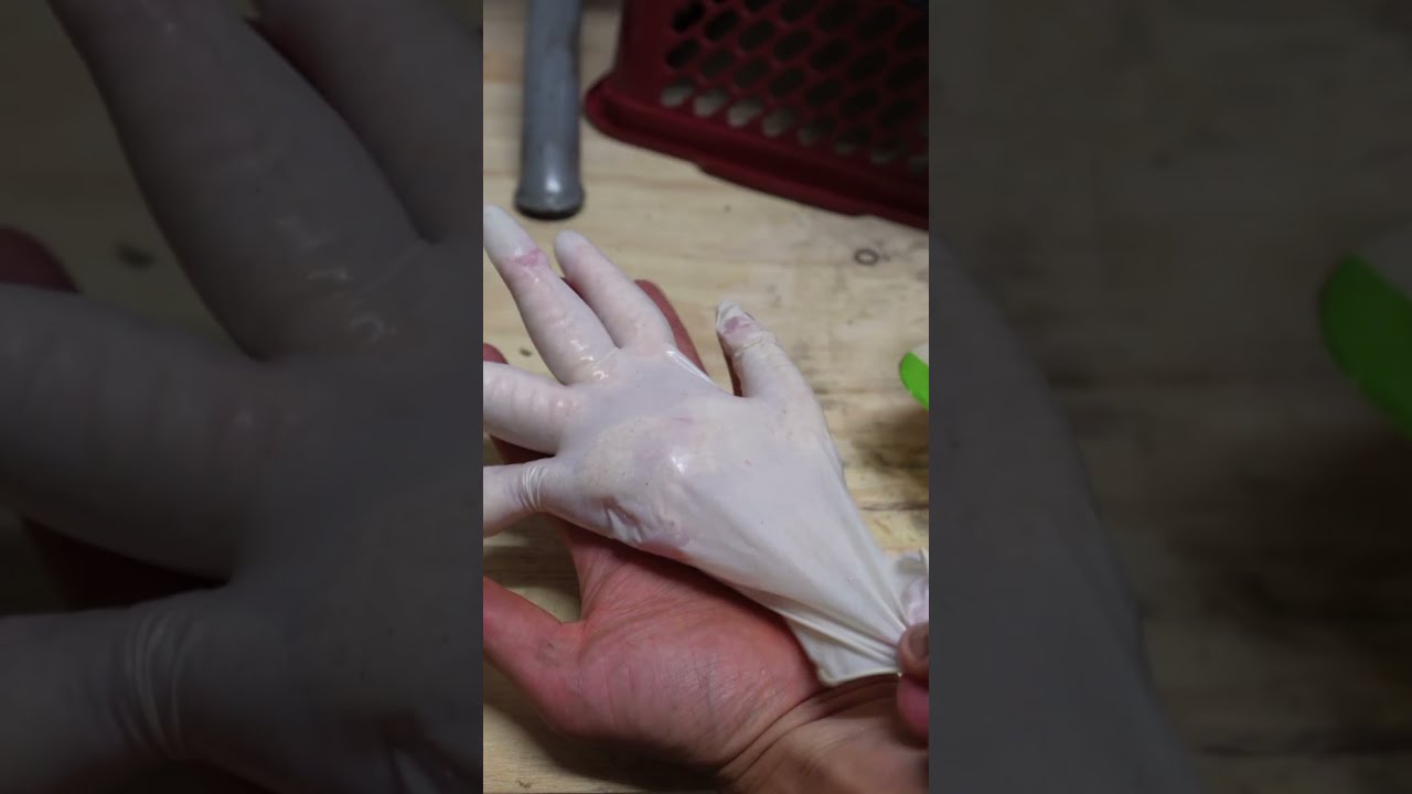 Can crusher vs human hand