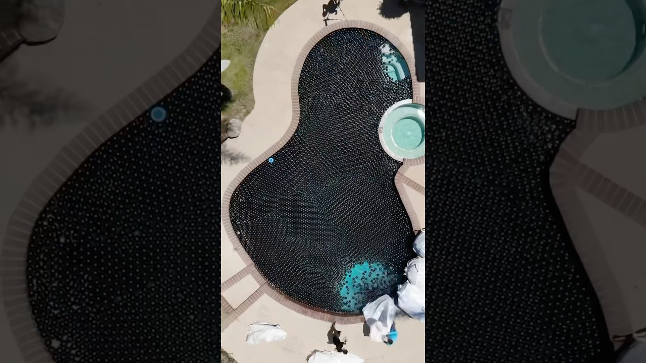 Can you swim in shade balls?