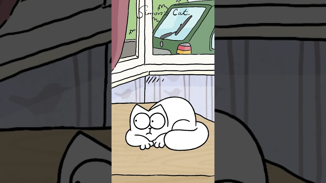 Cat & Kitten learn what 'The Snip' means 👀