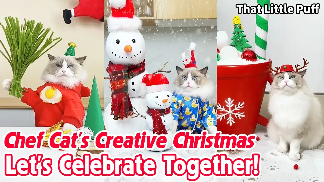 Chef Cat’s Creative Christmas  Let’s Celebrate Together! | That Little Puff