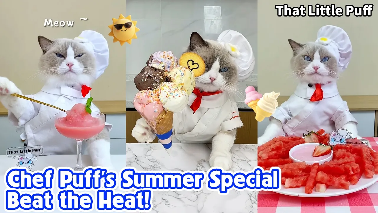 Chef Puff's Summer Special | Best Summer Recipes to Beat the Heat!  | That Little Puff
