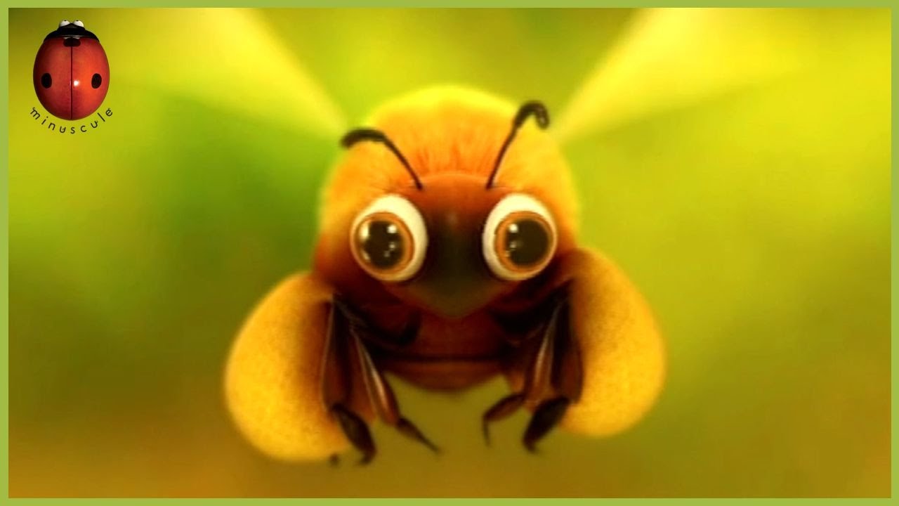 Convoy | Minuscule 🐝 30' Compilation
