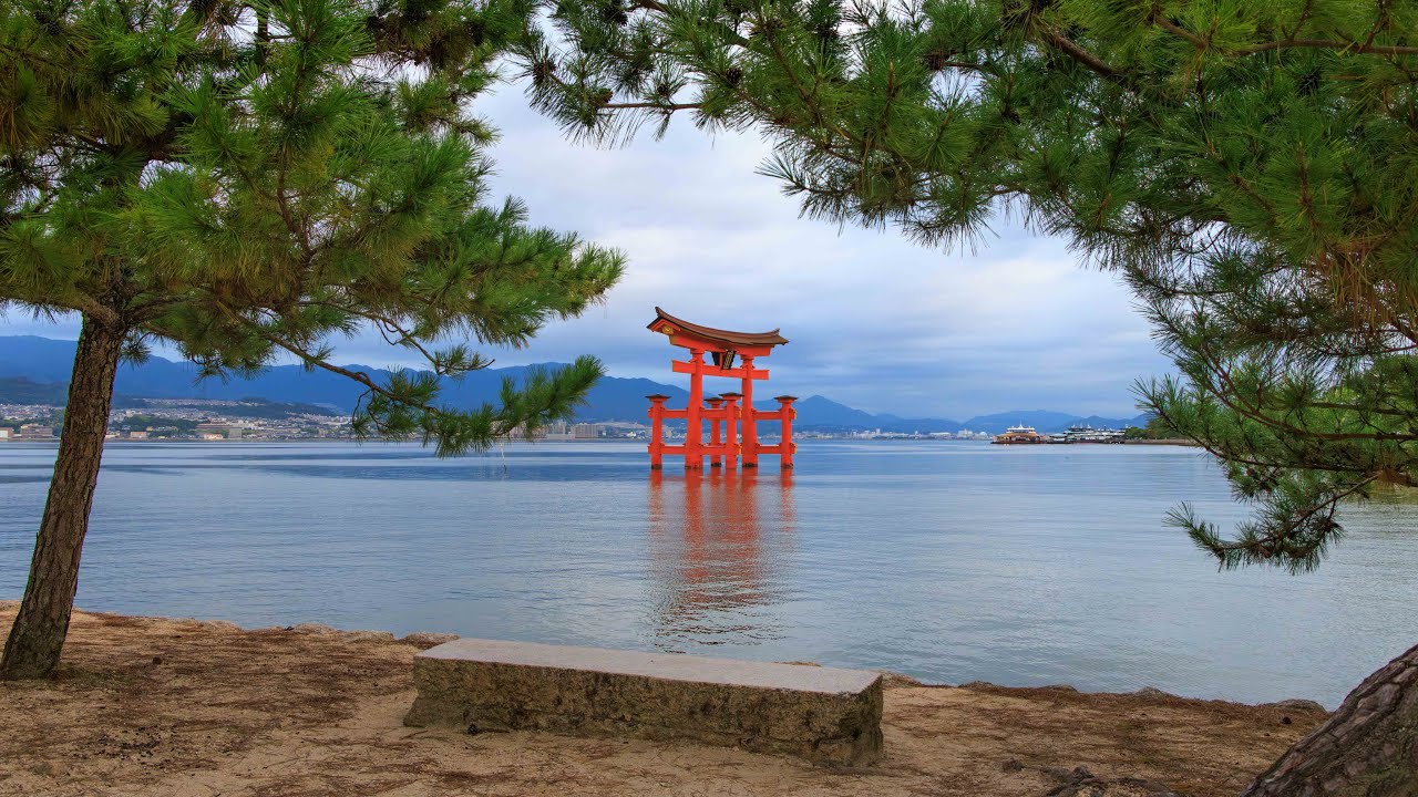 Dawn Walk at Water's Edge by Floating Torii Gate | Miyajima, Japan