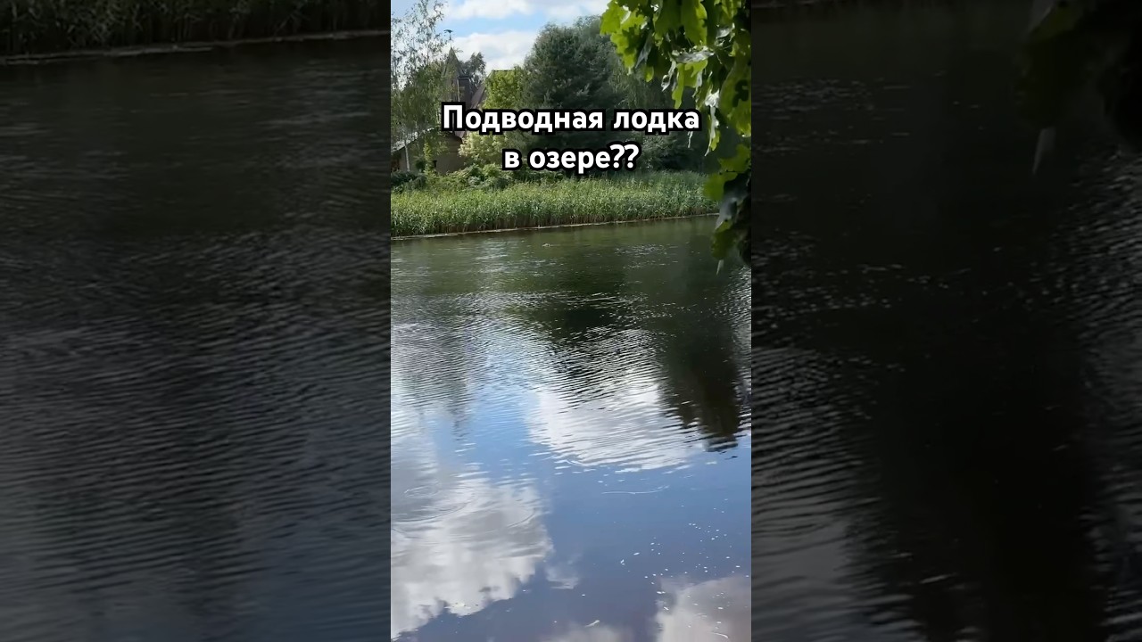 ДЕНЬ 1 | Дневник NPC