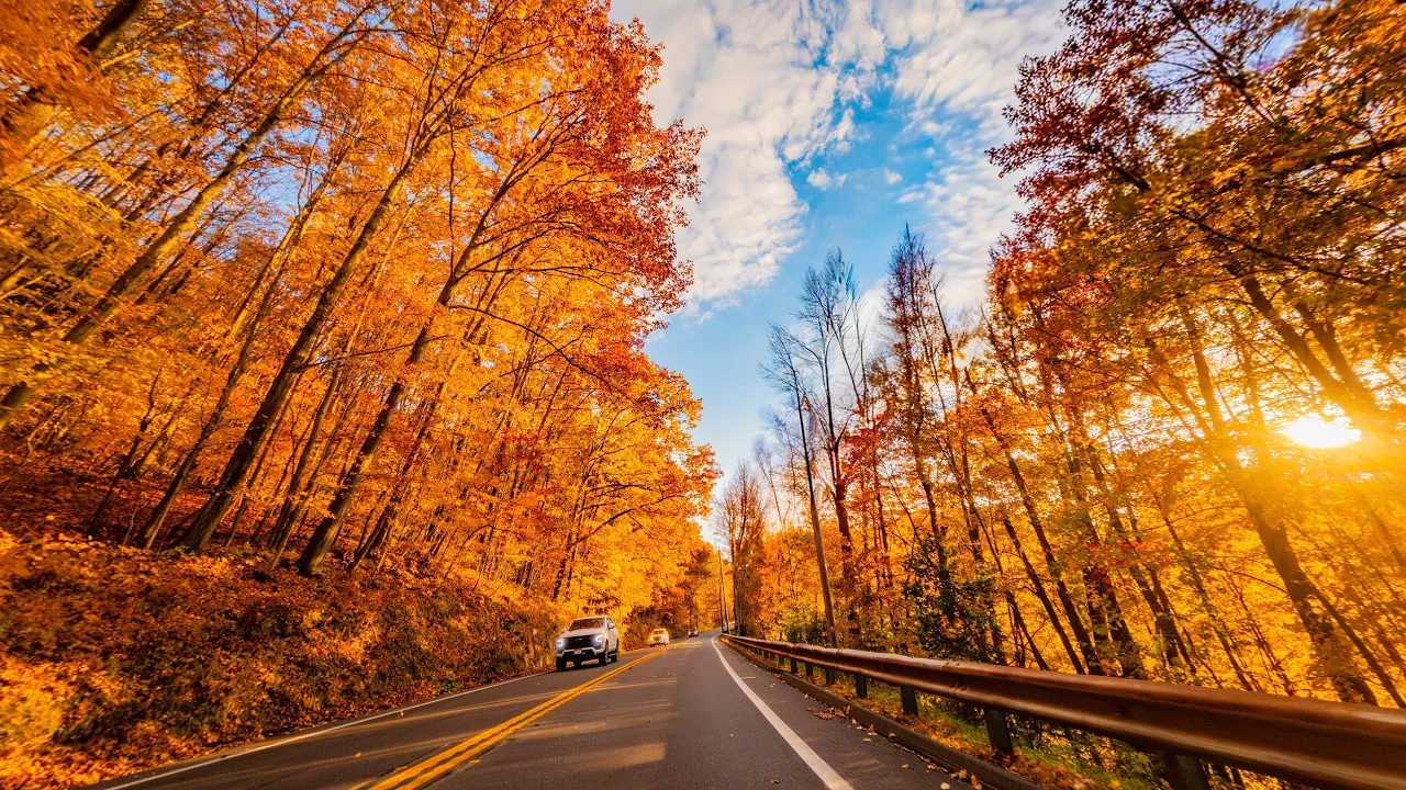 Driving Through New England’s Fall Colors in 4K - Massachusetts Road Trip | Ep. 1