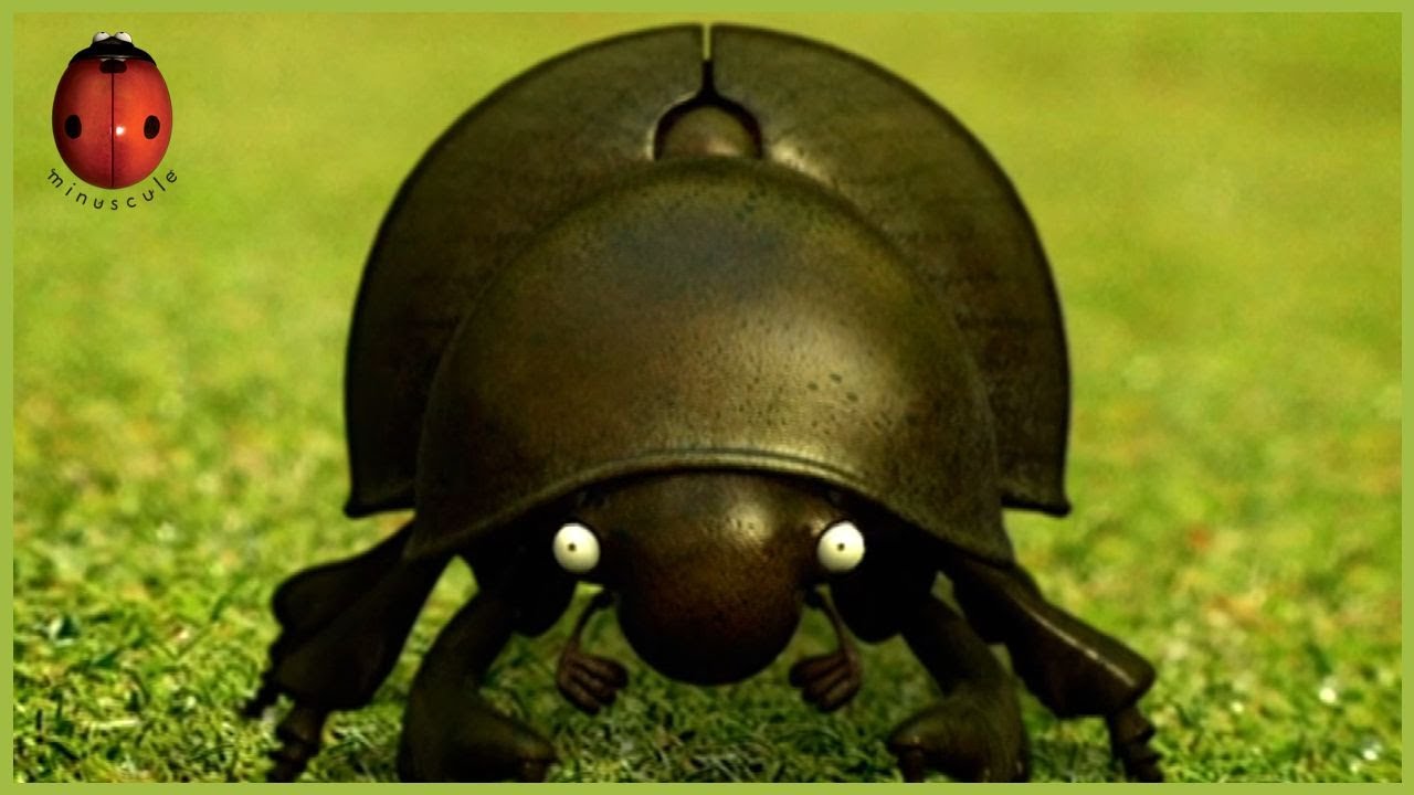 Dung Beetle Blues | Minuscule | 25' Compilation