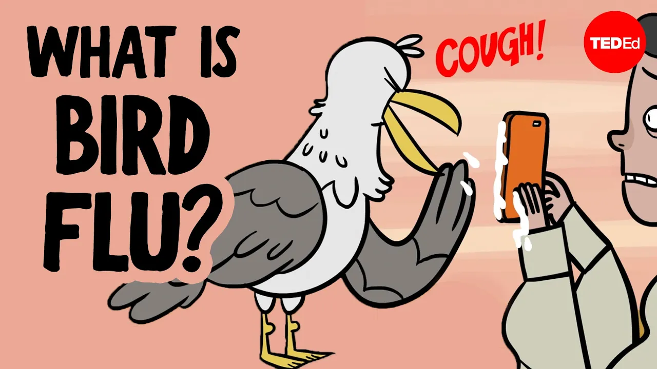 Everything you need to know about bird flu - Benjamin Anderson