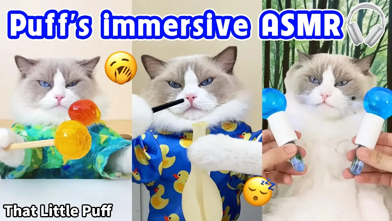 (Experience the comfort of ) Puff's immersive ASMR 🎧 Comfortable & Relaxing | That Little Puff