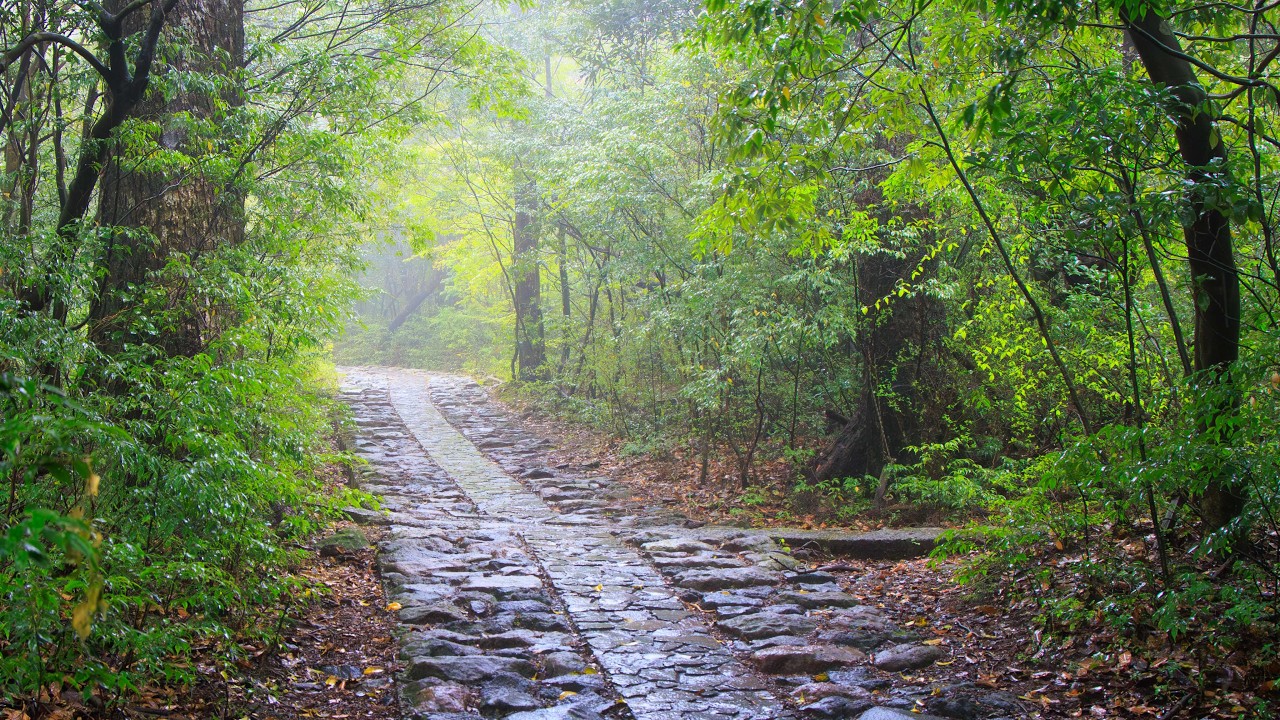 Exploring Volcanic Nature in Mount Karakuni Rain | Kagoshima, Japan