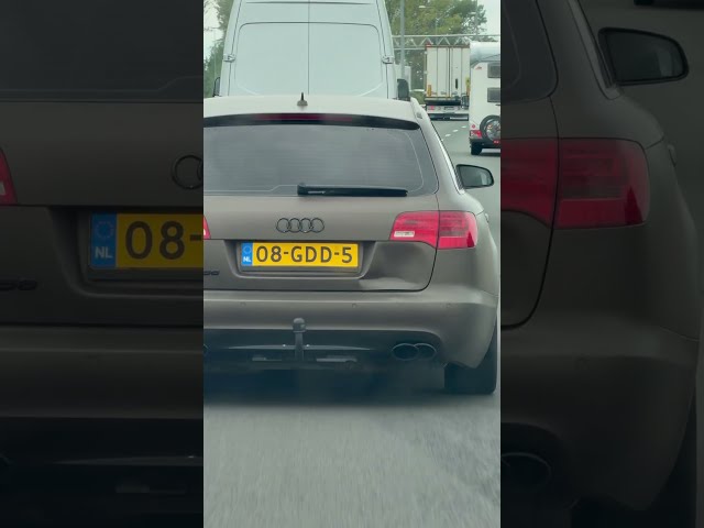 *FAKE* RS6 V10 - LICENSE PLATE CHECK