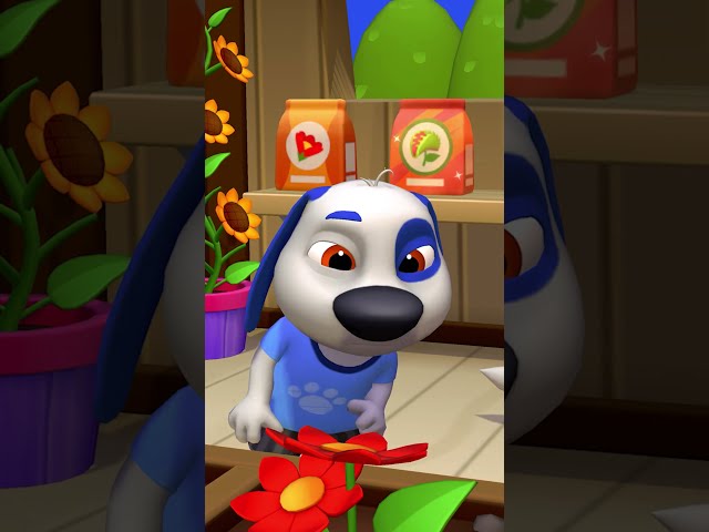 Find the Chameleon 🦎😟 #MyTalkingTomFriends2