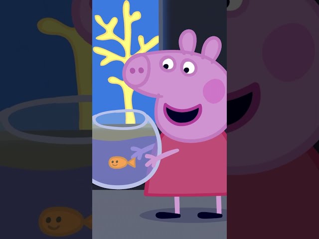 Fishy Friend for Goldie Song 🐟 #shorts #peppapig