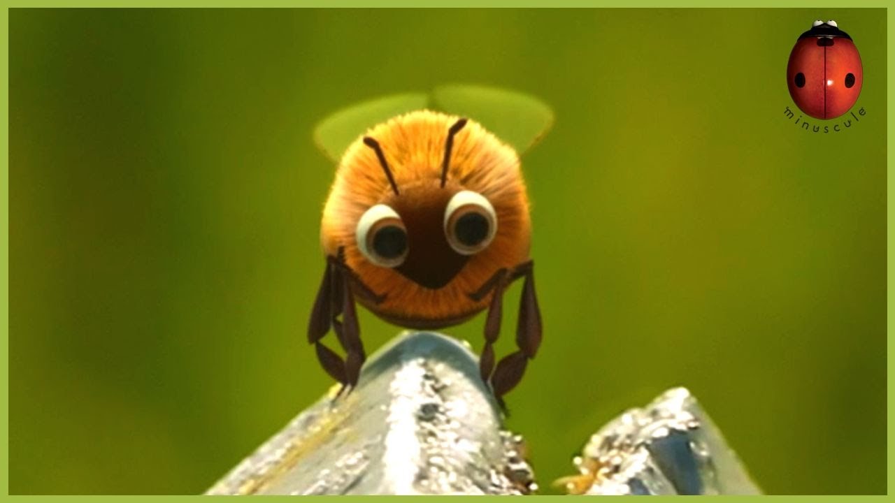 Gather More to Pollinate More 🐝 Minuscule 🍃 75' Compilation