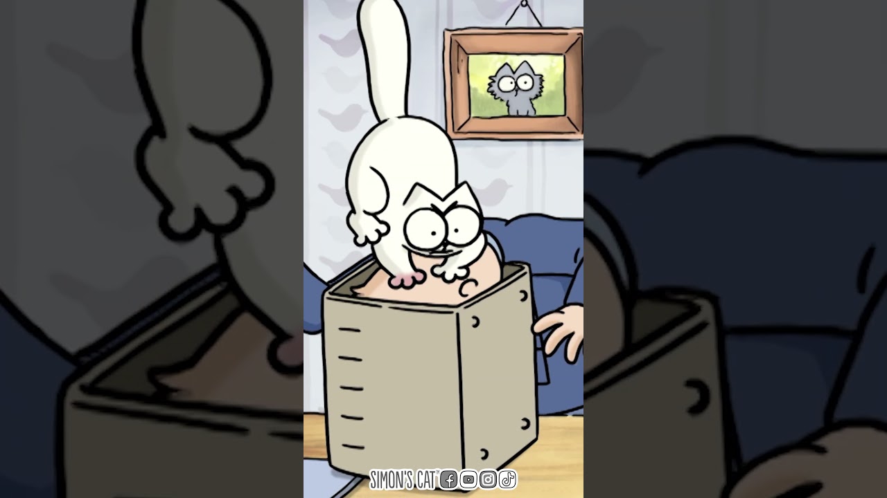 GET IN THE BOX