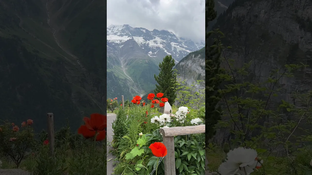 🇨🇭 Gimmelwald, Switzerland | Authentic Beauty in the Alps