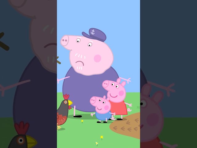 Granny Pig’s Chickens 🐔 #shorts #peppapig