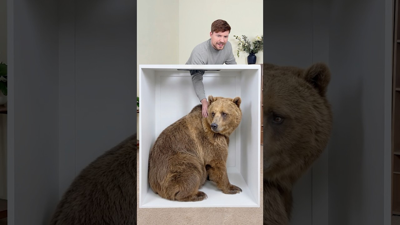 Guess the Animal