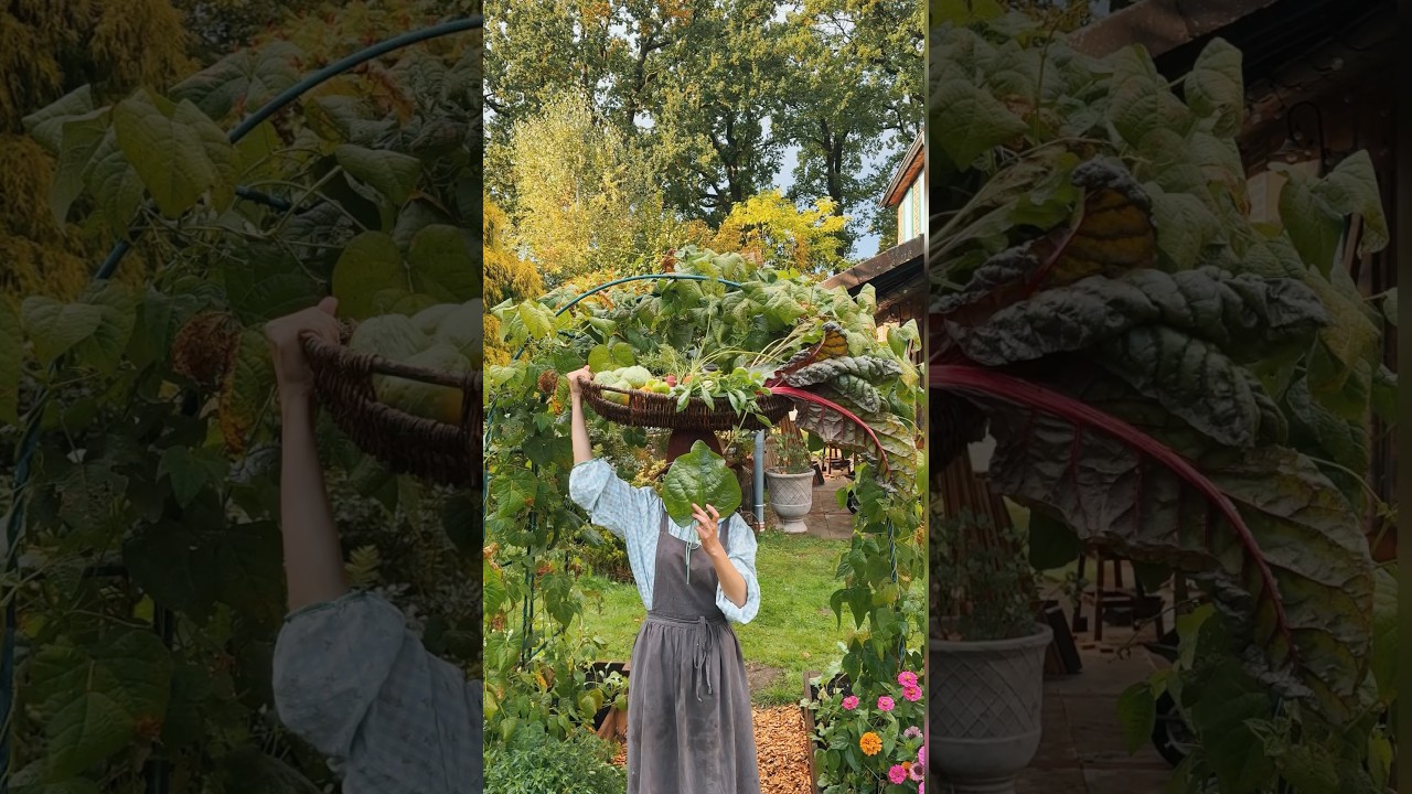 Harvest with me 🌿 October edition 🌱