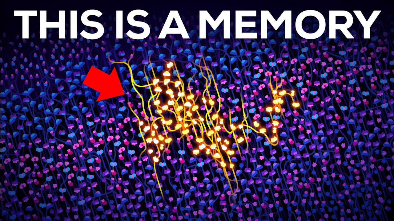 How Are Memories Stored Inside Your Brain?