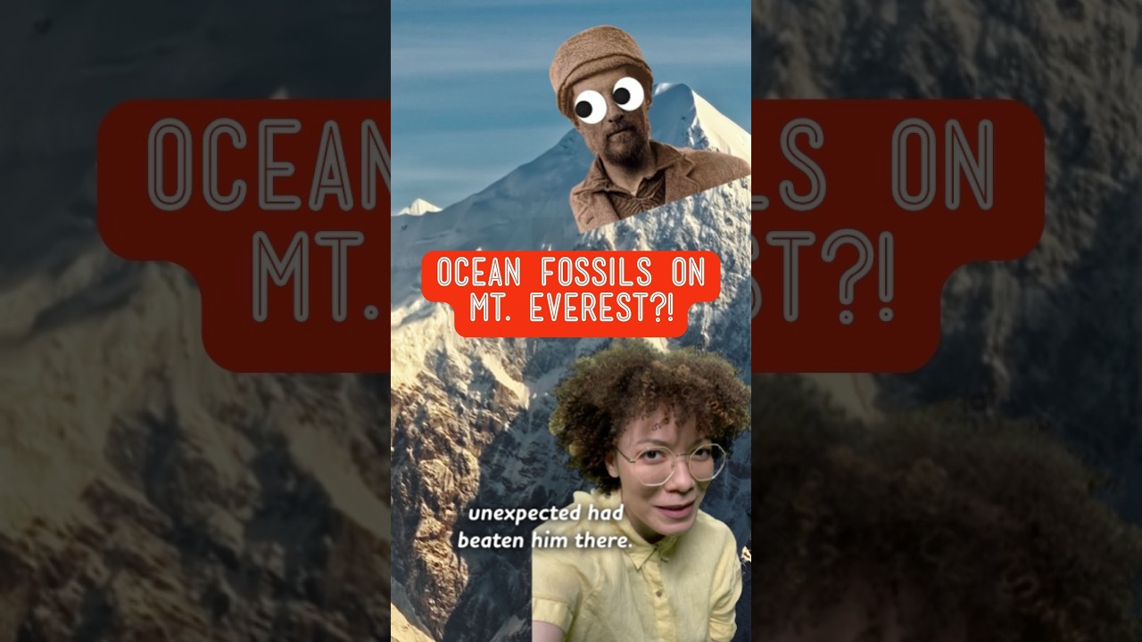 How did ocean invertebrates end up on Mt. Everest?!