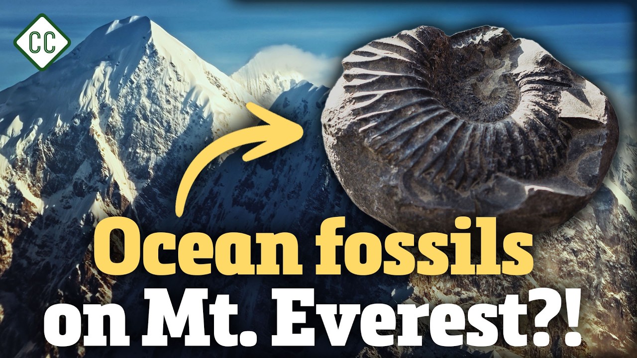 How Do Mountains Form?: Crash Course Geology #11