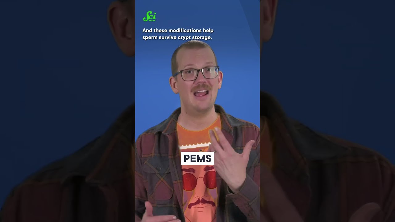 How Long Does Sperm REALLY Live? #science #scishow #STEM #hankgreen