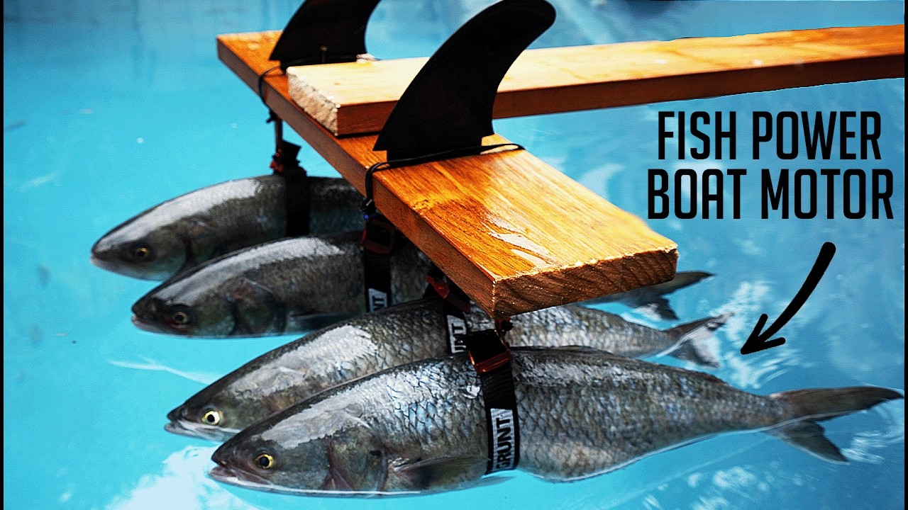 How many fish does it take to pull my boat?