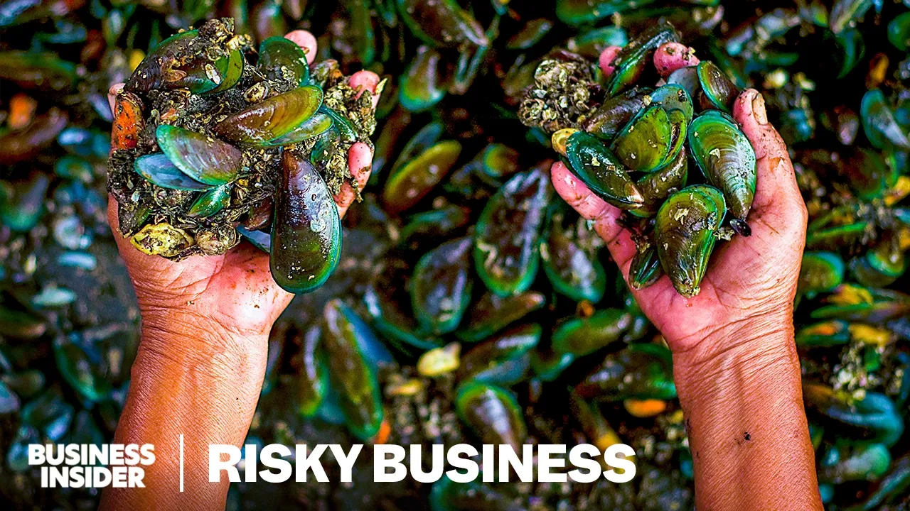 How Toxic Green Mussels Feed Millions In Indonesia's Biggest City