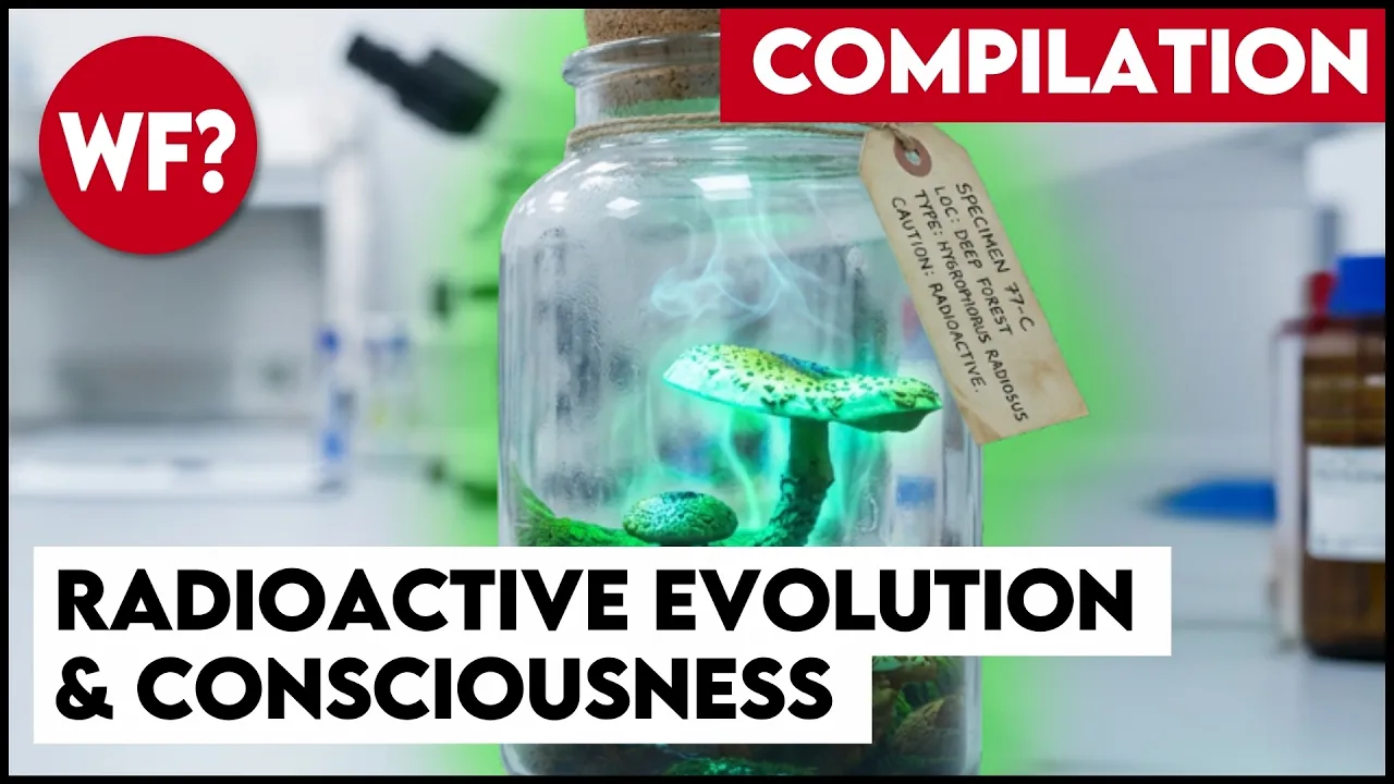 Human Evolution and the Power of the Mind: Science Compilation