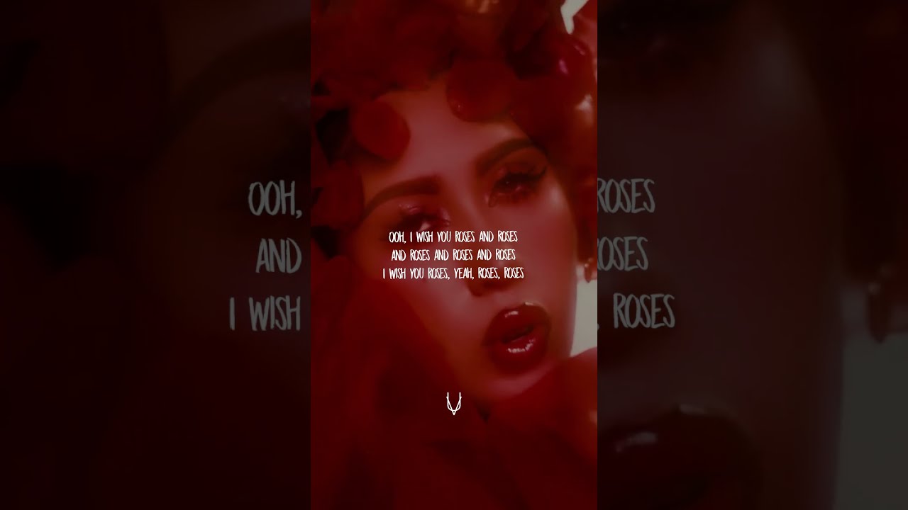 i wish you roses🌹