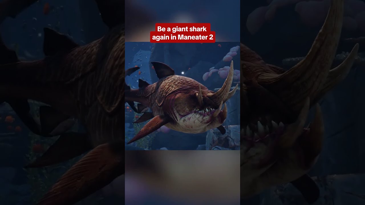 In Maneater 2, the shark is gonna GET you #gaming #shark #maneater2
