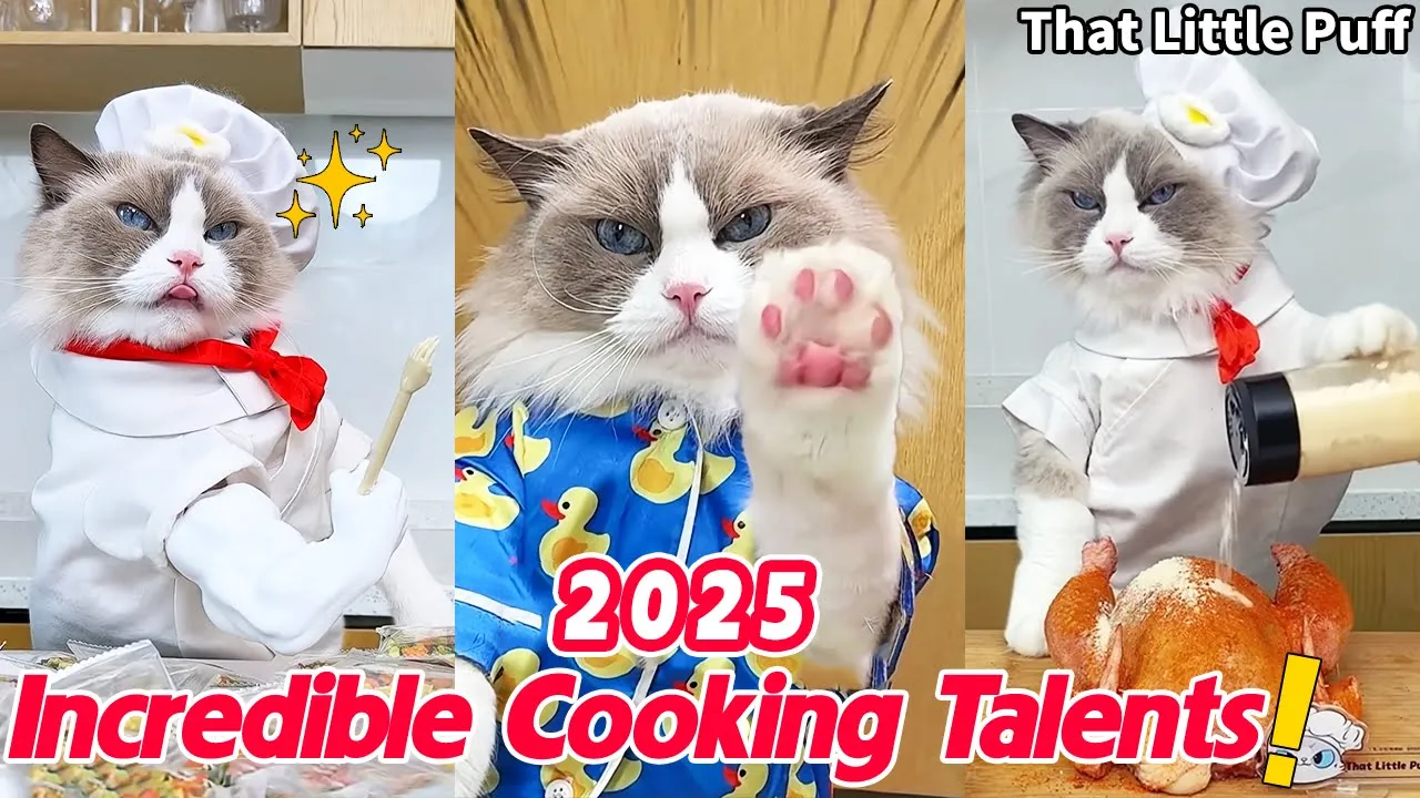 Incredible Cooking Talents of the Year!🔥🍳| That Little Puff
