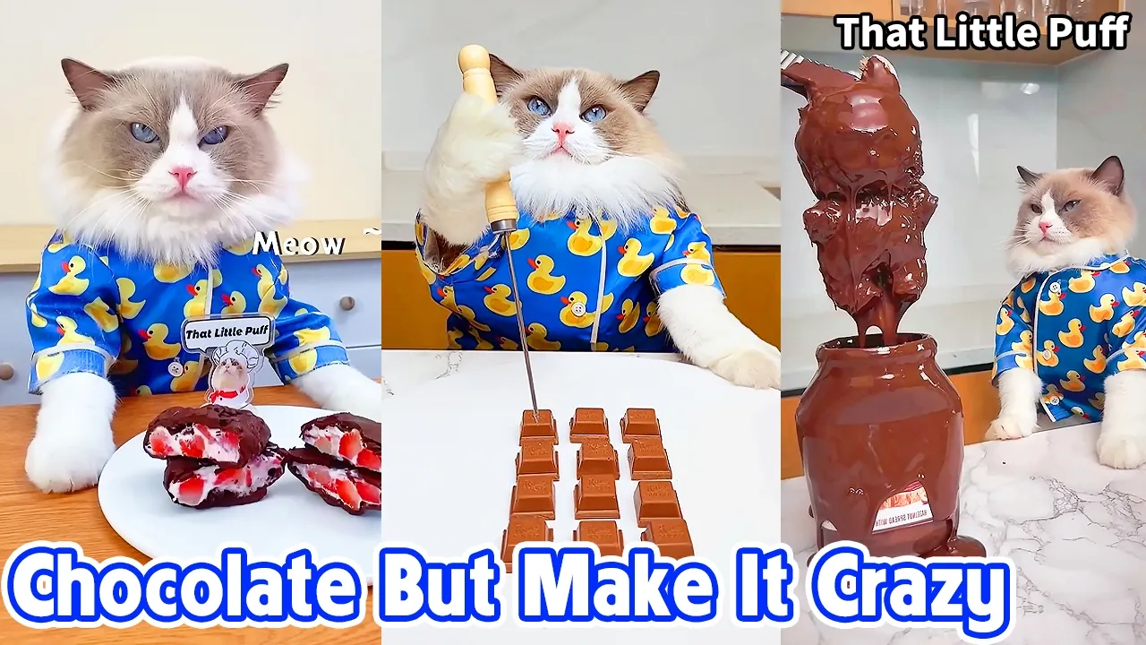 Insane Chocolate Creations 🍫 You Have to See | That Little Puff