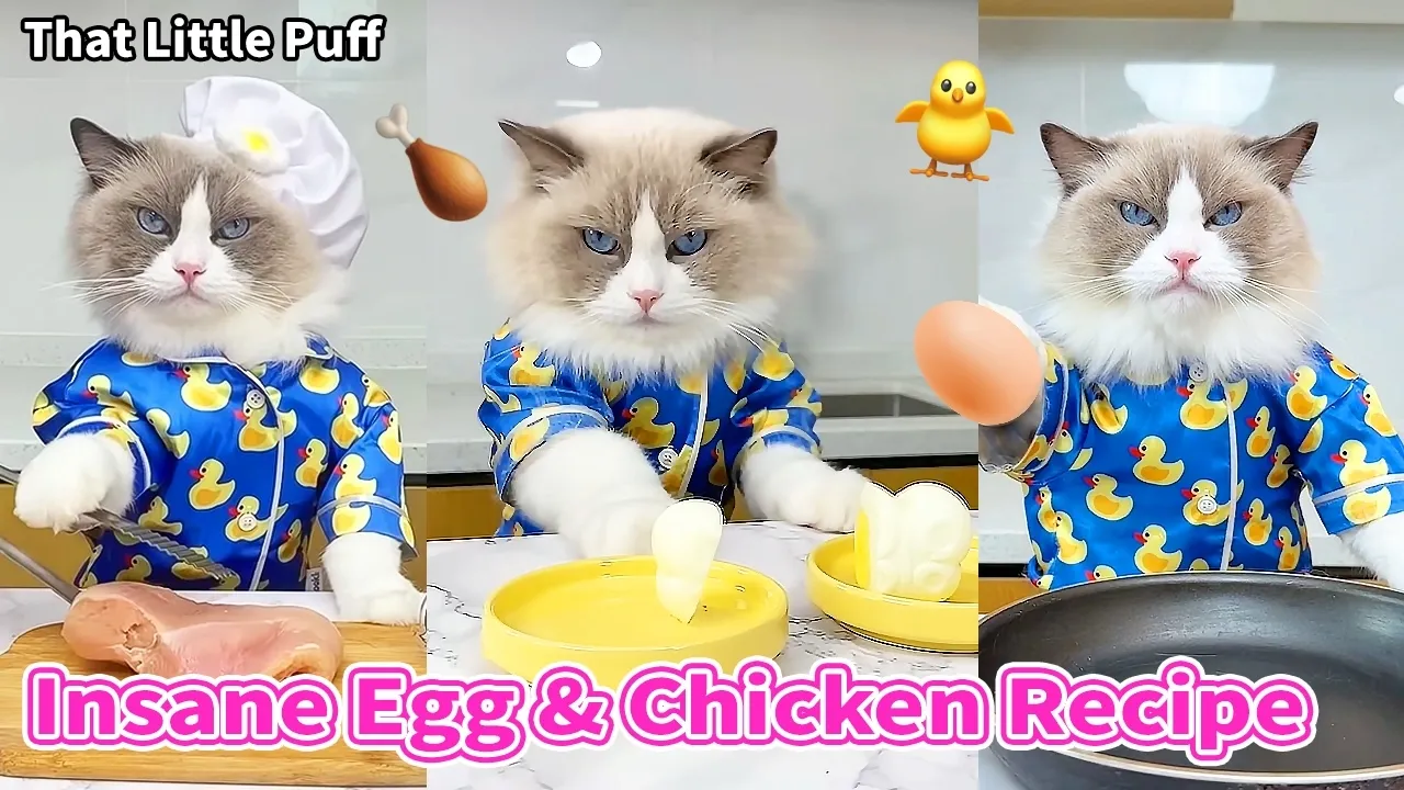 Insane Egg & Chicken Recipes Even Chickens Would Freak Out 🐔 | That Little Puff