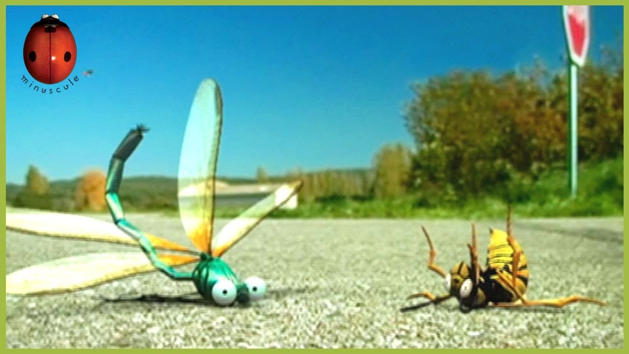Insect High Velocity | Minuscule | 25' Compilation