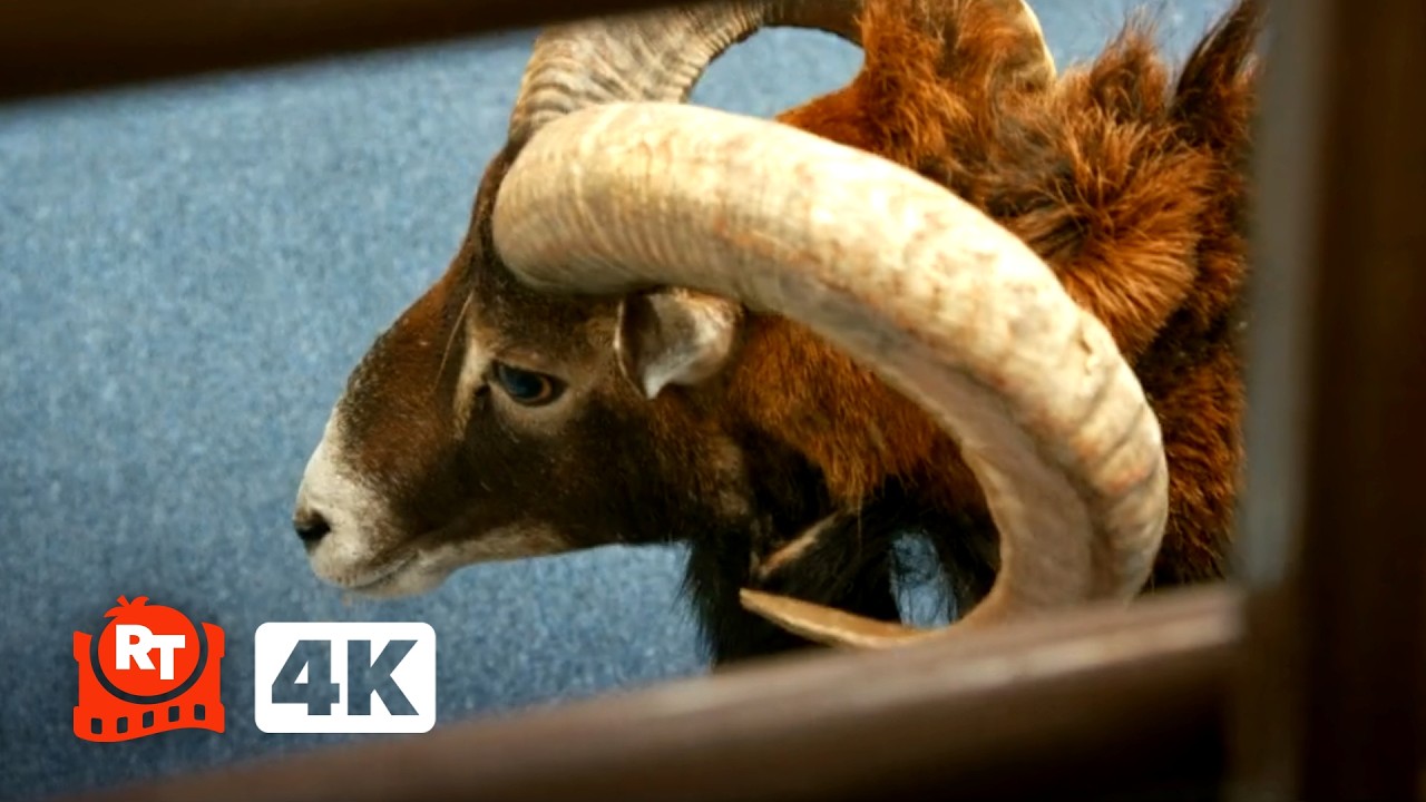 Jackass: Best and Last (2026) 4K - Ron The RACIST Ram (4/10) | Movieclips