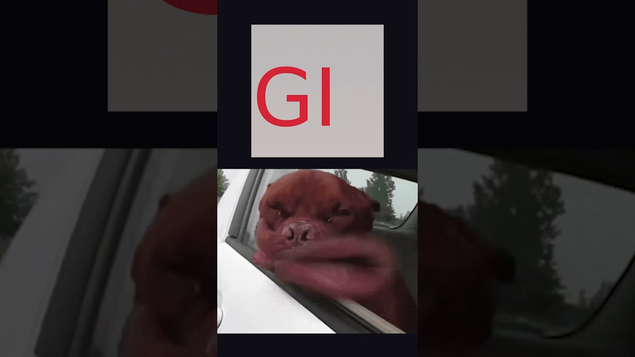 JPG vs PNG vs WEBP vs GIF vs SVG