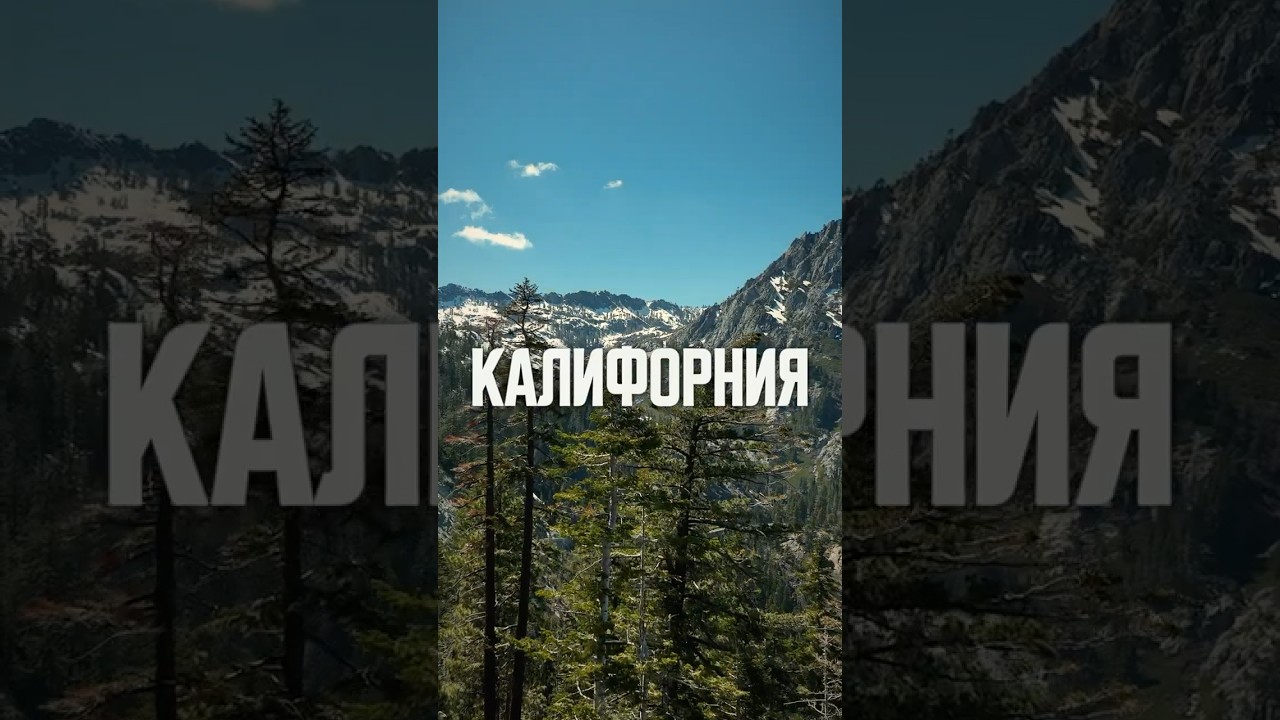 Калифорния: жизнь между роскошью и нищетой. Новый фильм  #сша #америка #калифорния