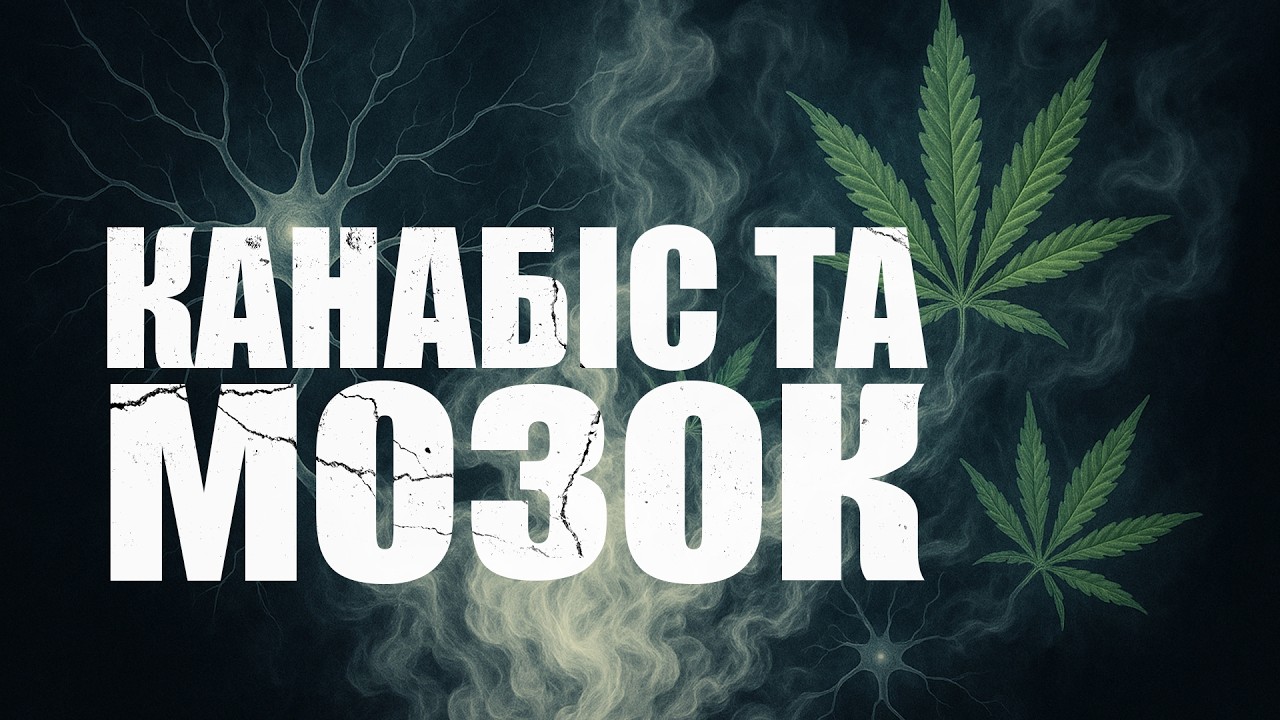 Канабіс та молодий мозок: міф та реальність