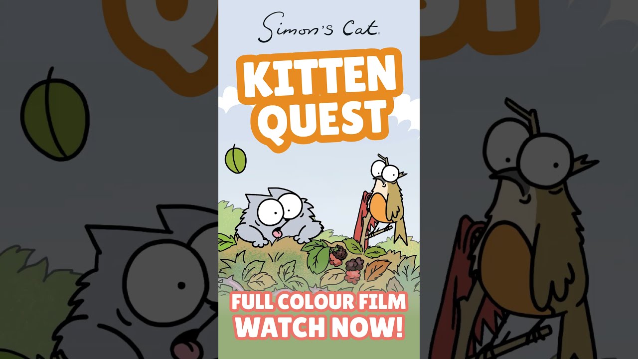 KITTEN QUEST OUT NOW