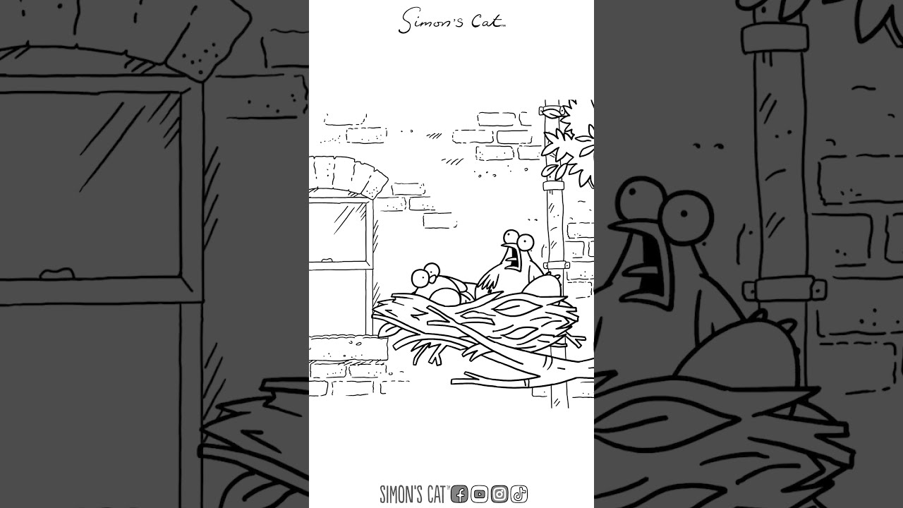 Kitten Quest Part 1 - Out Now! | Simon's Cat Extra