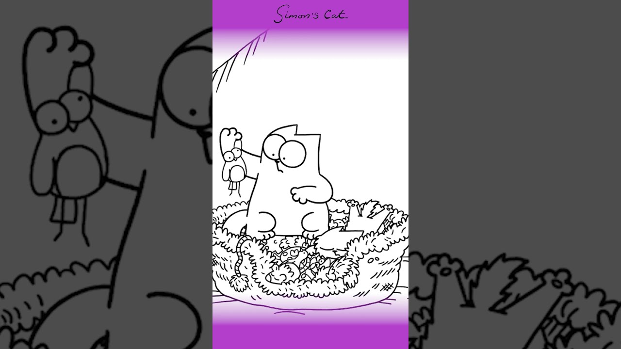 Kitten Quest - The Final Chapter OUT NOW
