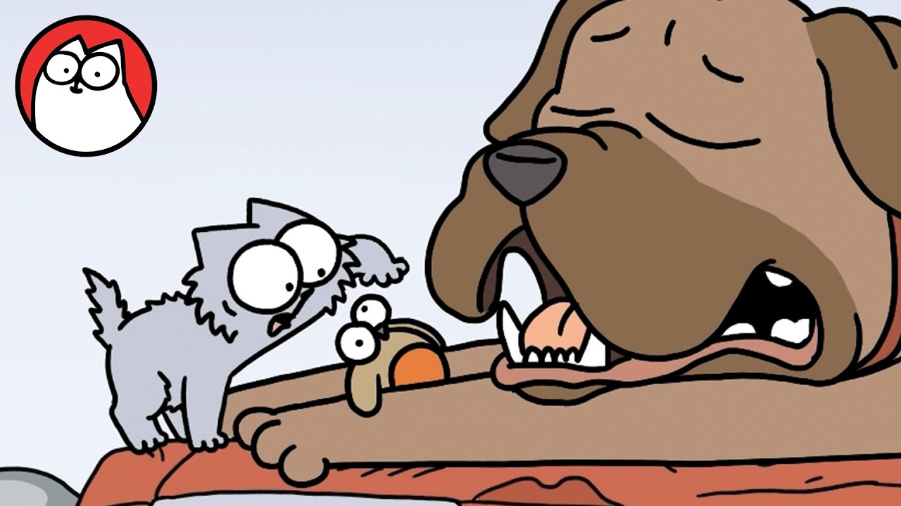KITTEN QUEST