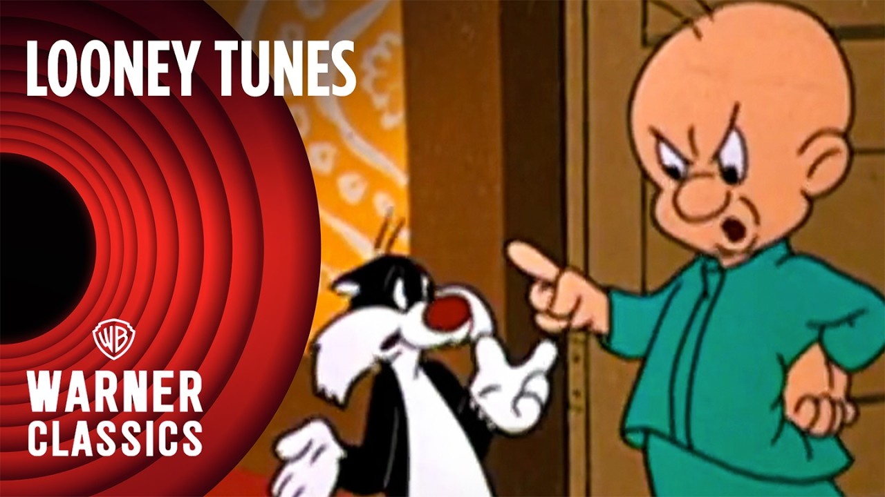 Looney Tunes | Classic Elmer Fudd & Sylvester Episodes | Warner Classics