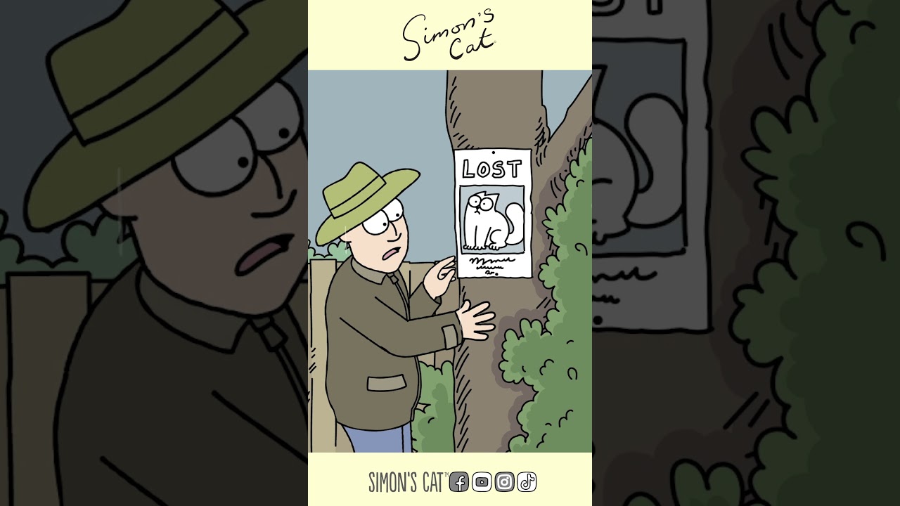 Lost and Found