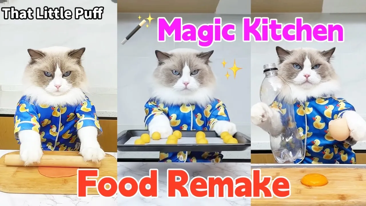 🪄Magic Kitchen Food Remake | That Little Puff