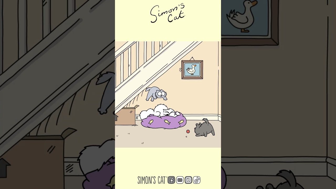 Making A New Friend