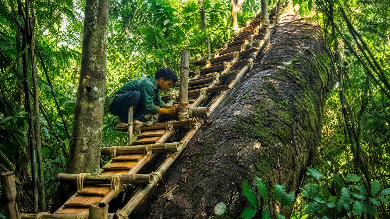 Man Builds SECRET Bamboo SHELTER In The Jungle With His EAGLE Companion | Full Build‪@Mr.TBushcraft‬